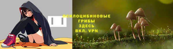 гидра Белокуриха