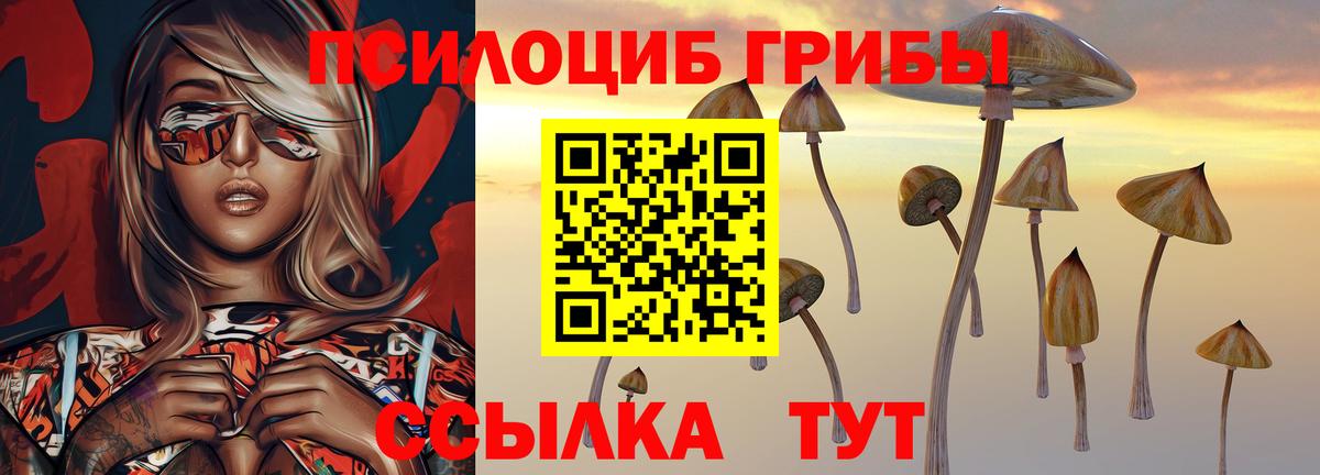 Бирск  Псилоцибиновые грибы MAGIC MUSHROOMS  Вход с VPN 