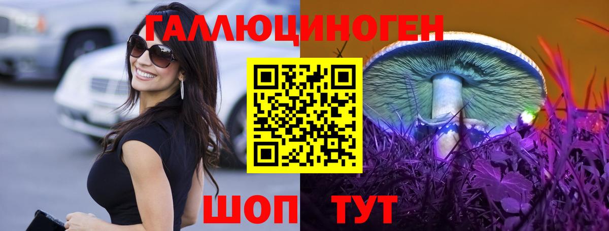 Псилоцибиновые грибы Psilocybe Бирск
